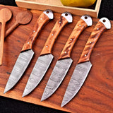 CUSTOM HANDMADE FORGED DAMASCUS STEEL STEAK KNIFE CHEF SET WOOD HANDLE